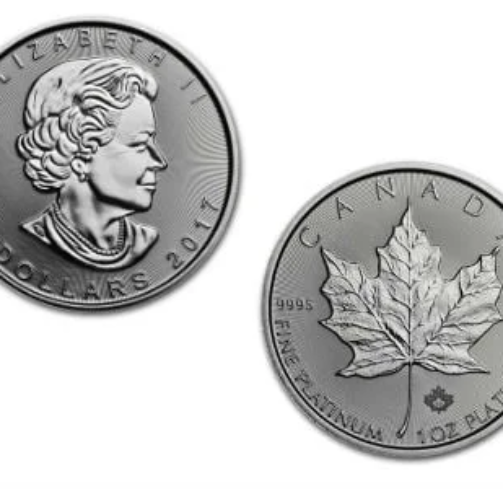 1-ounce-platinum-maple-leaf-coin-02