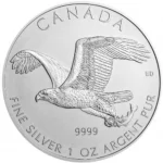 bald-eagle-obv