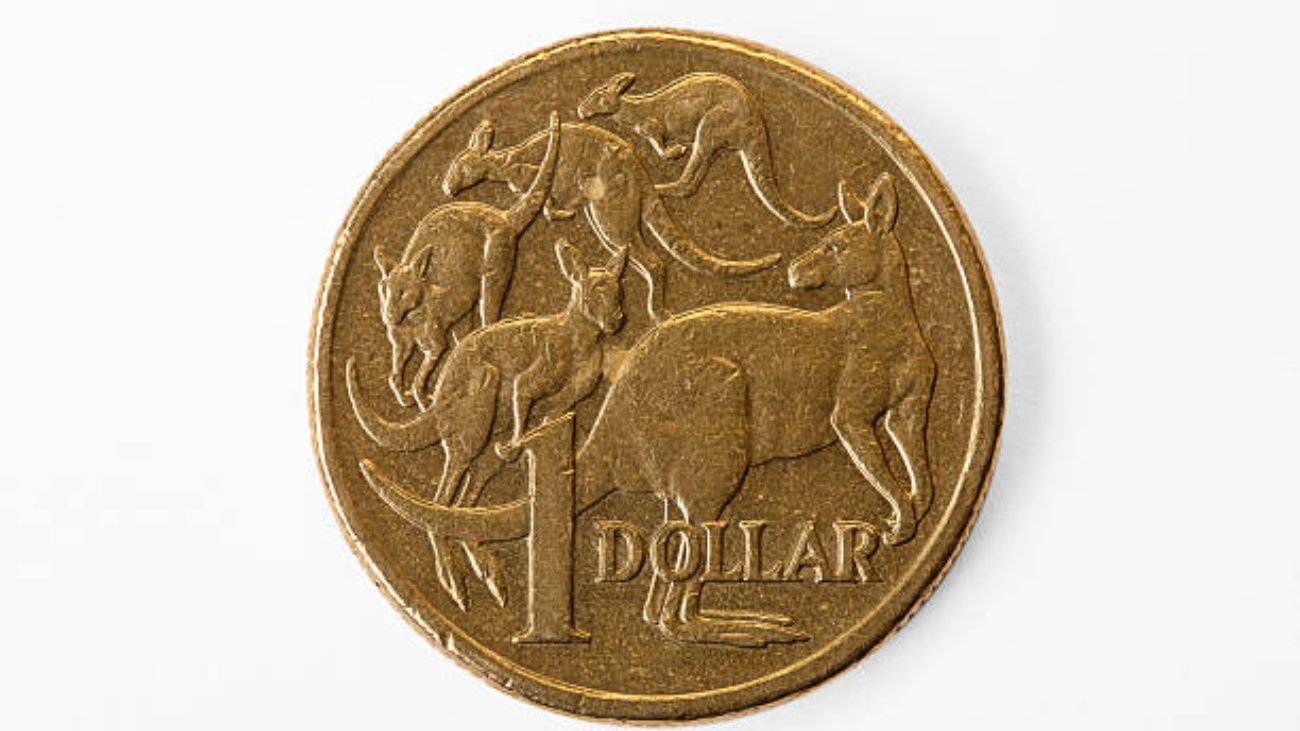 Australian Kangaroo Lunar Coins – Lunar Tiger Breakdown