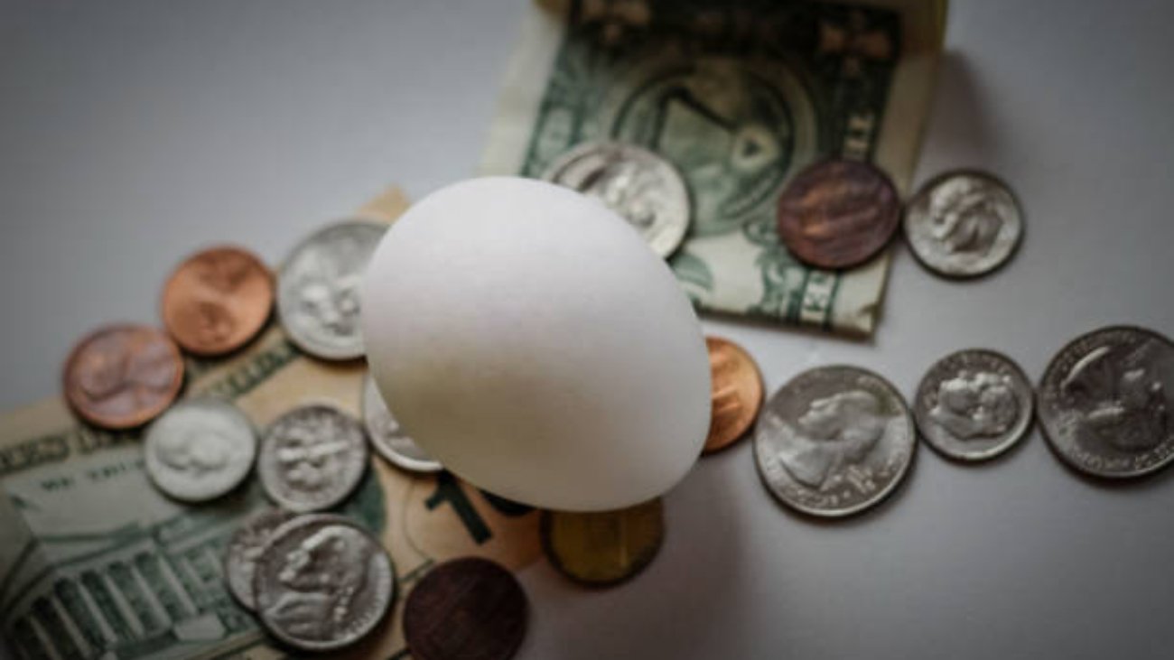 US Rare Coins Worth Buying | 2025 Investment Guide